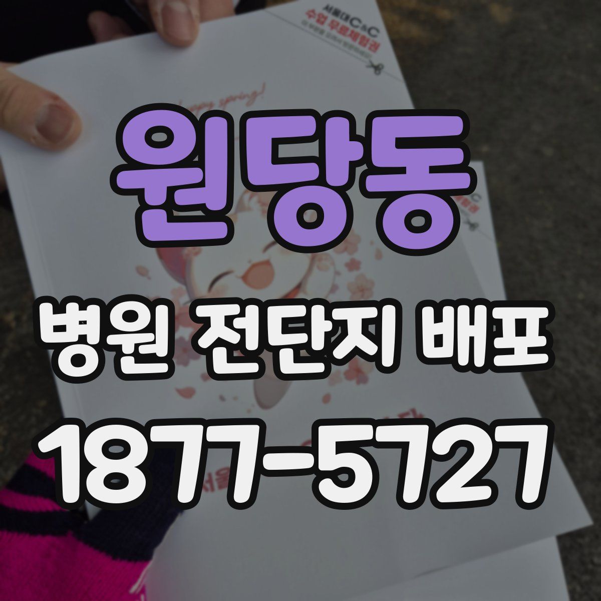 원당동 병원 전단지 배포