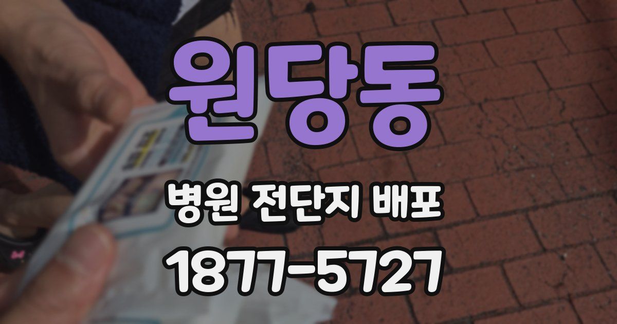 원당동 병원 전단지 배포