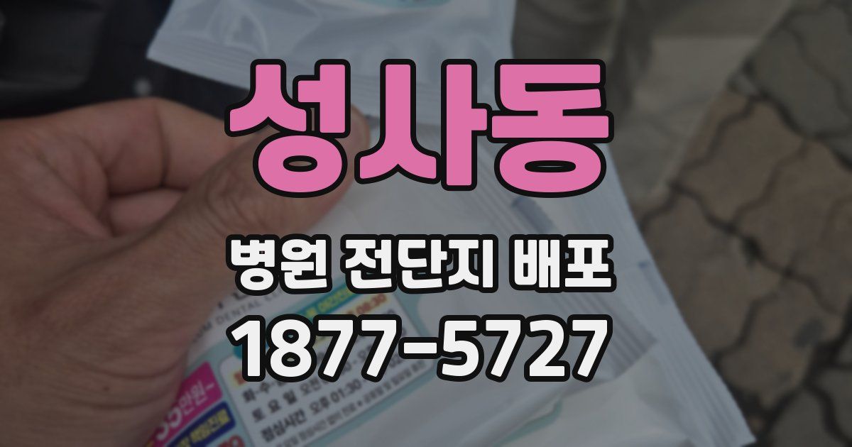 성사동 병원 전단지 배포