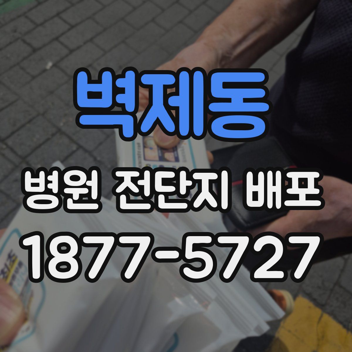 벽제동 병원 전단지 배포