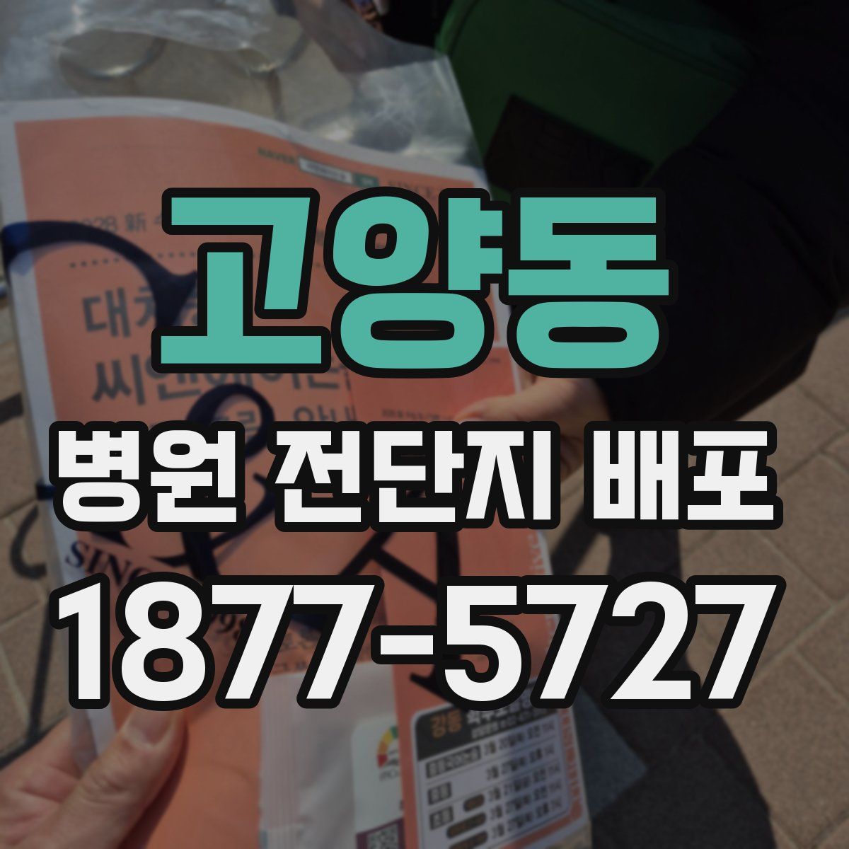 고양동 병원 전단지 배포