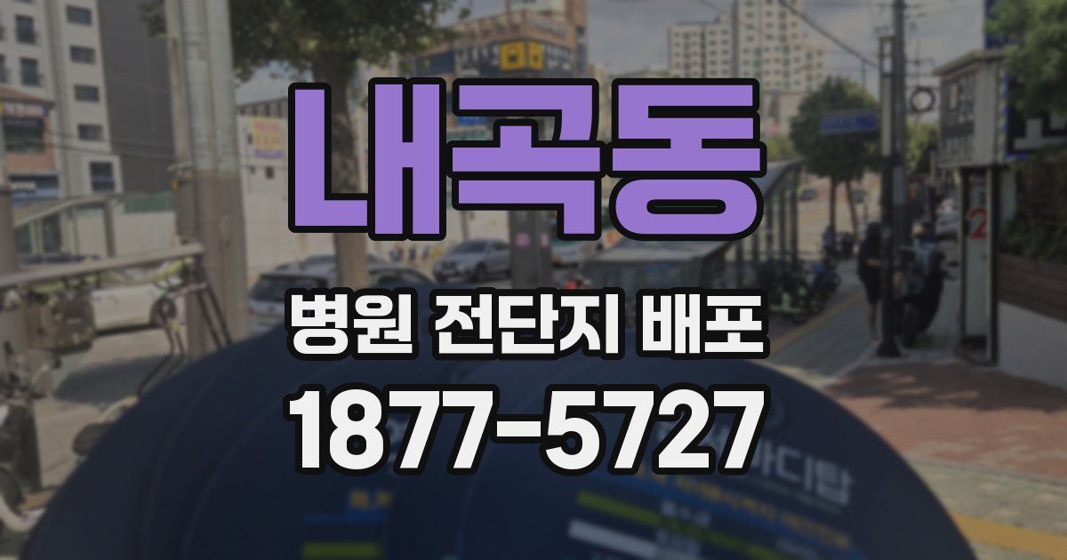 내곡동 병원 전단지 배포