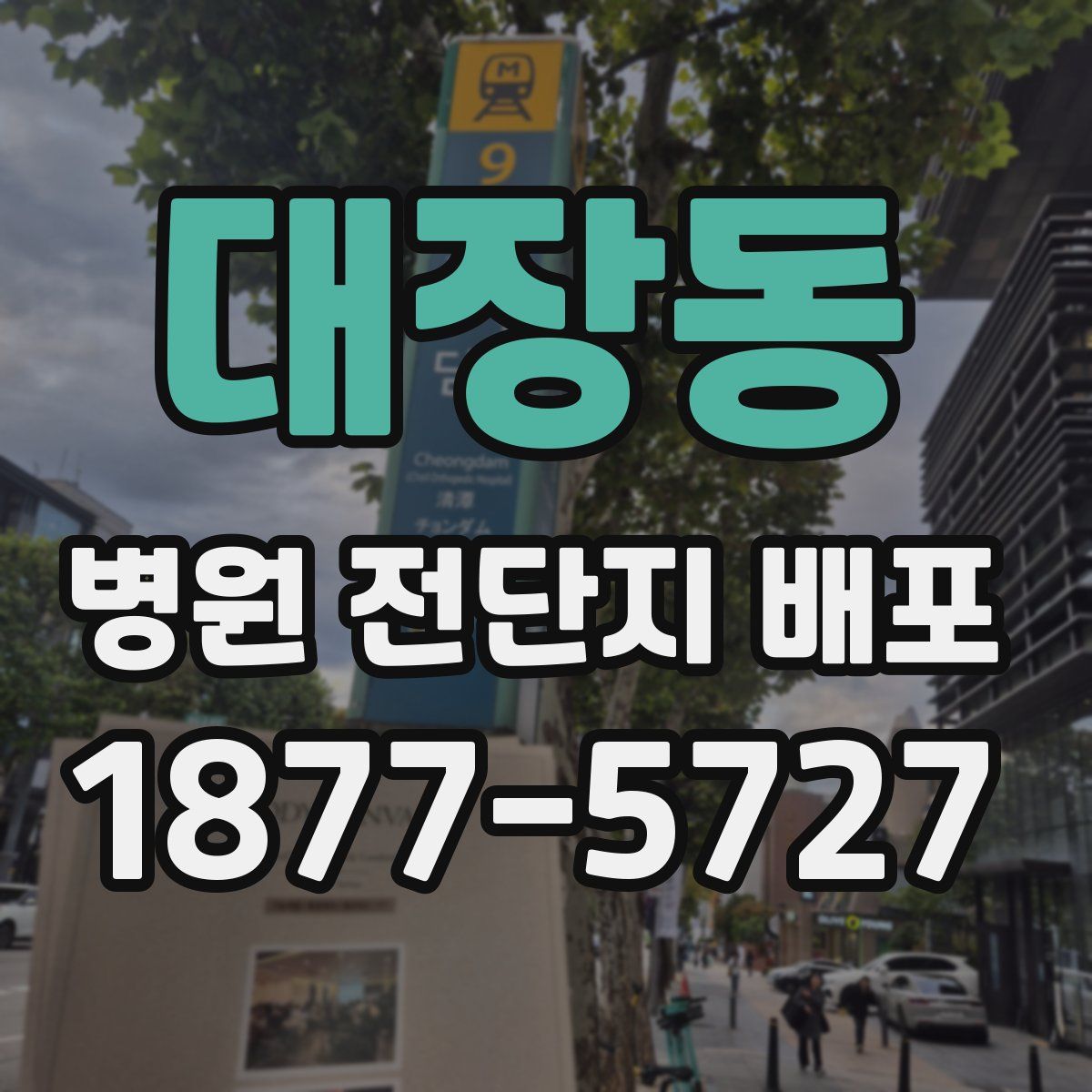 대장동 병원 전단지 배포