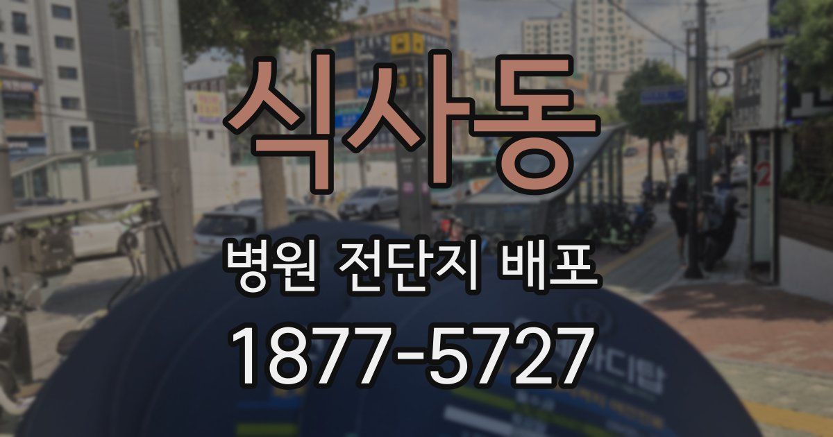 식사동 병원 전단지 배포