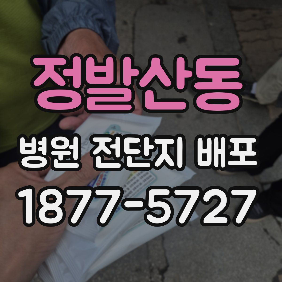 정발산동 병원 전단지 배포