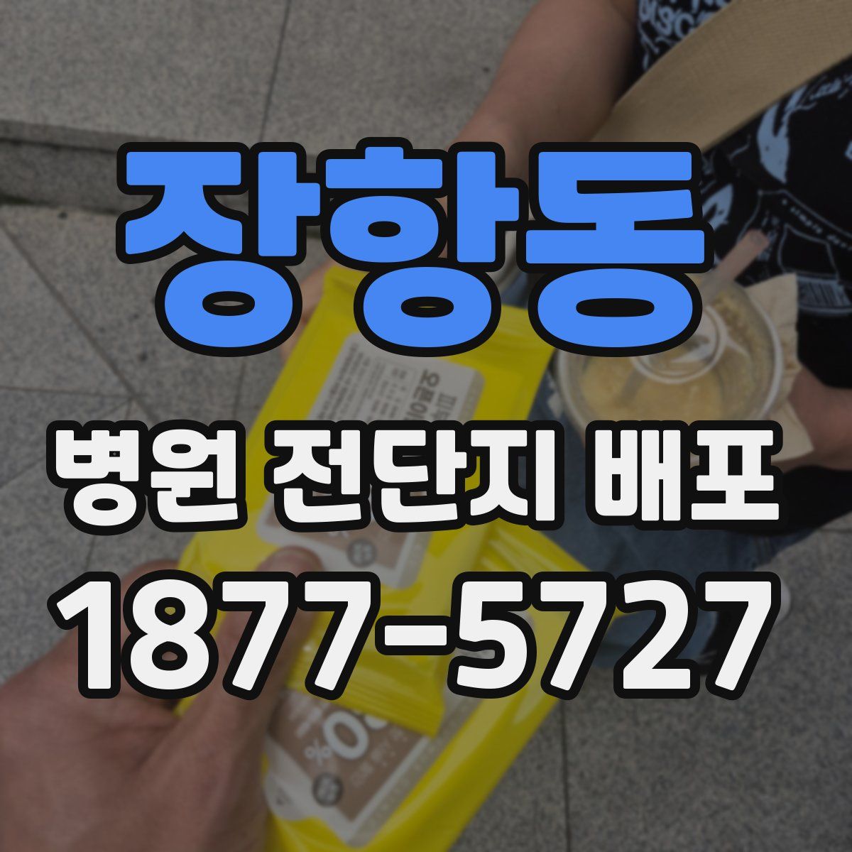 장항동 병원 전단지 배포