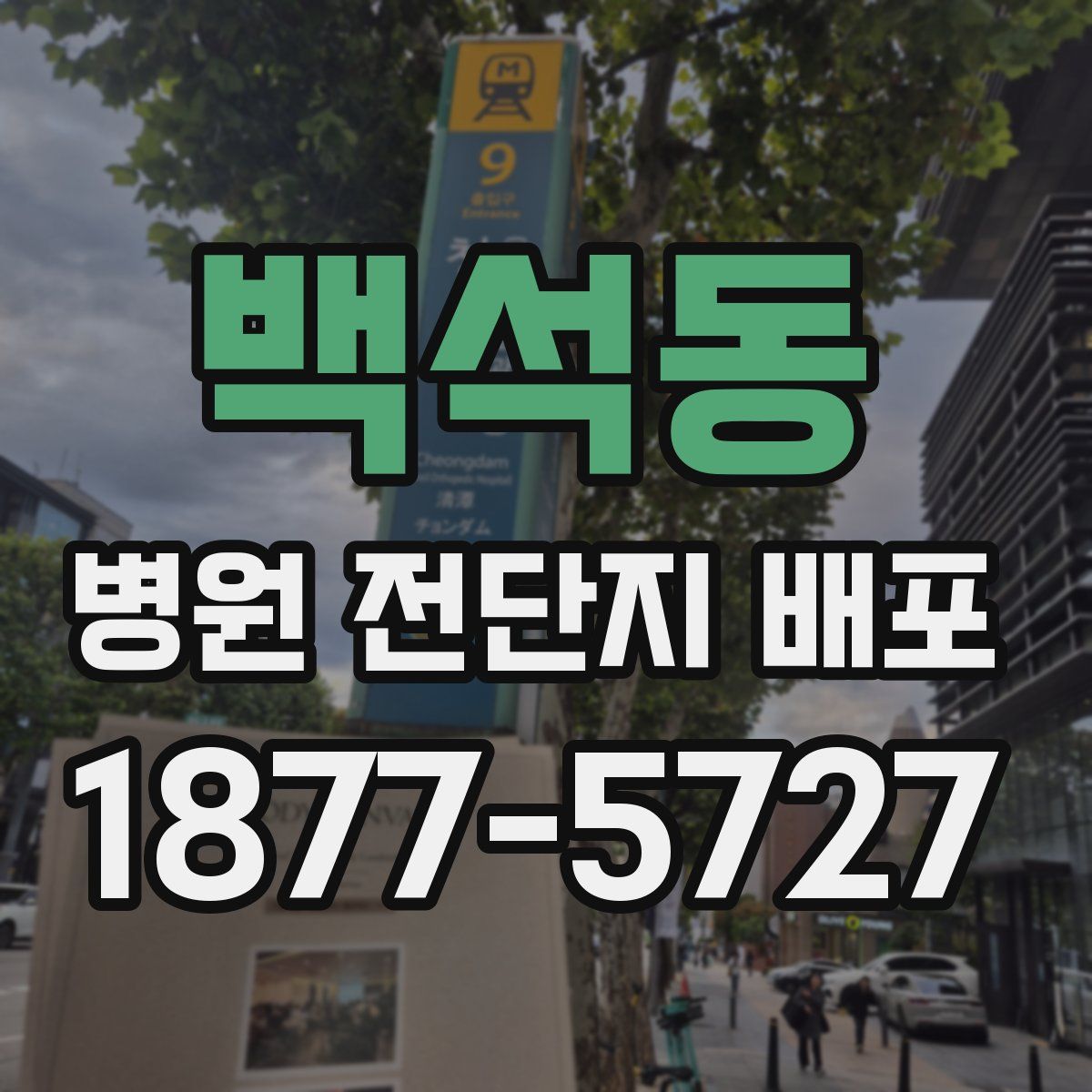 백석동 병원 전단지 배포