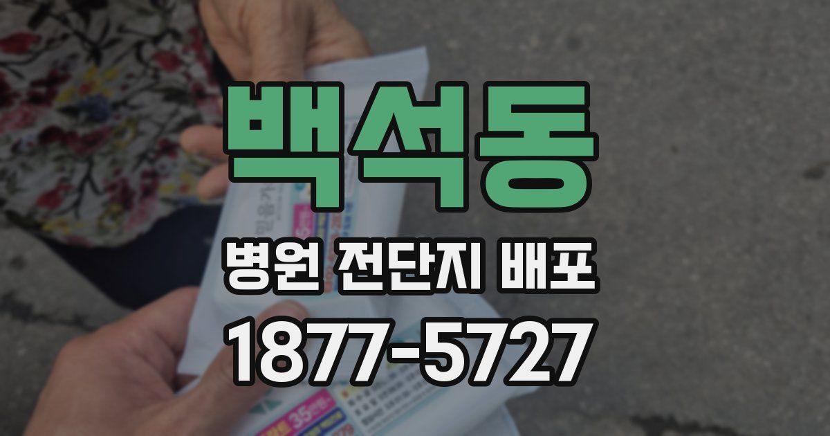 백석동 병원 전단지 배포