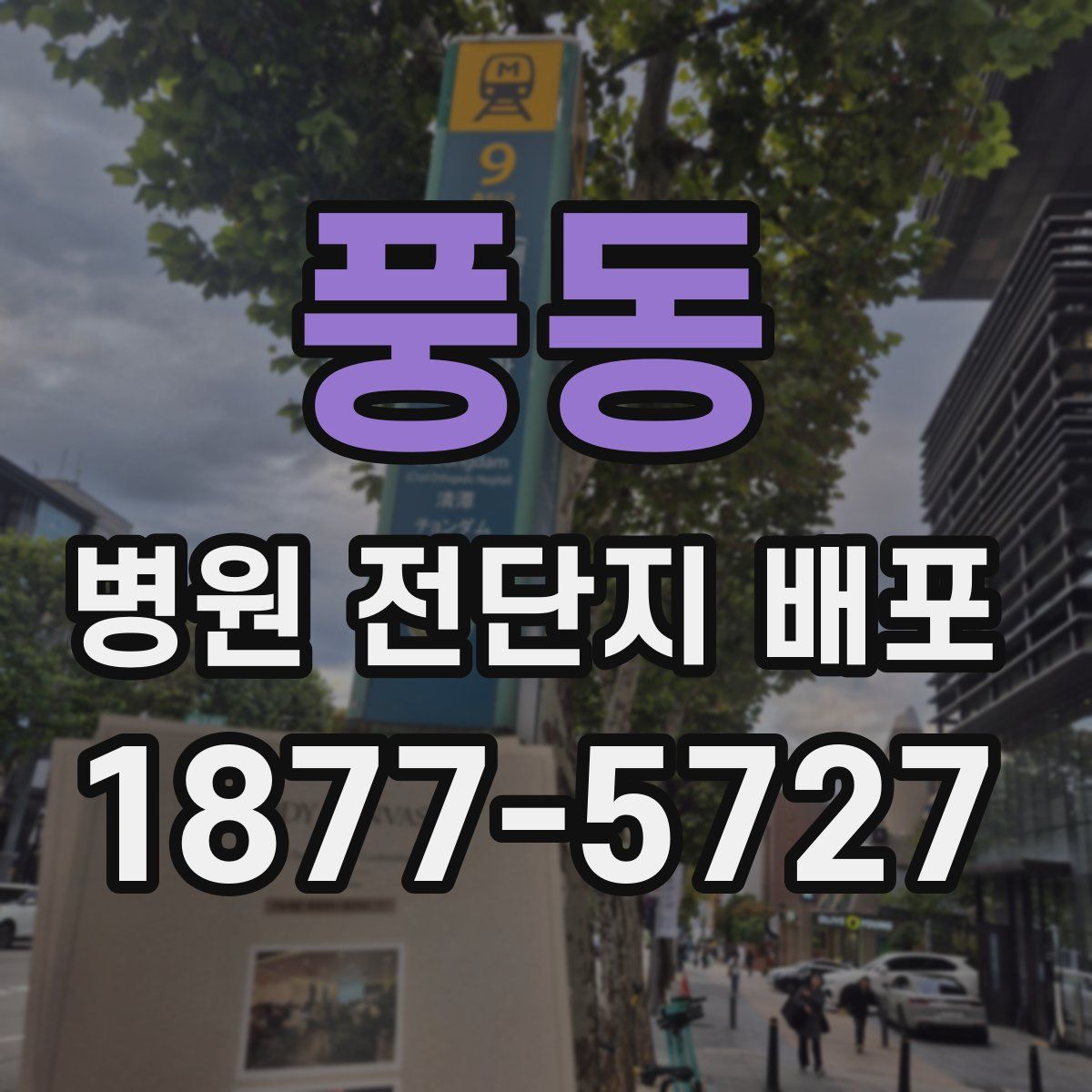 풍동 병원 전단지 배포