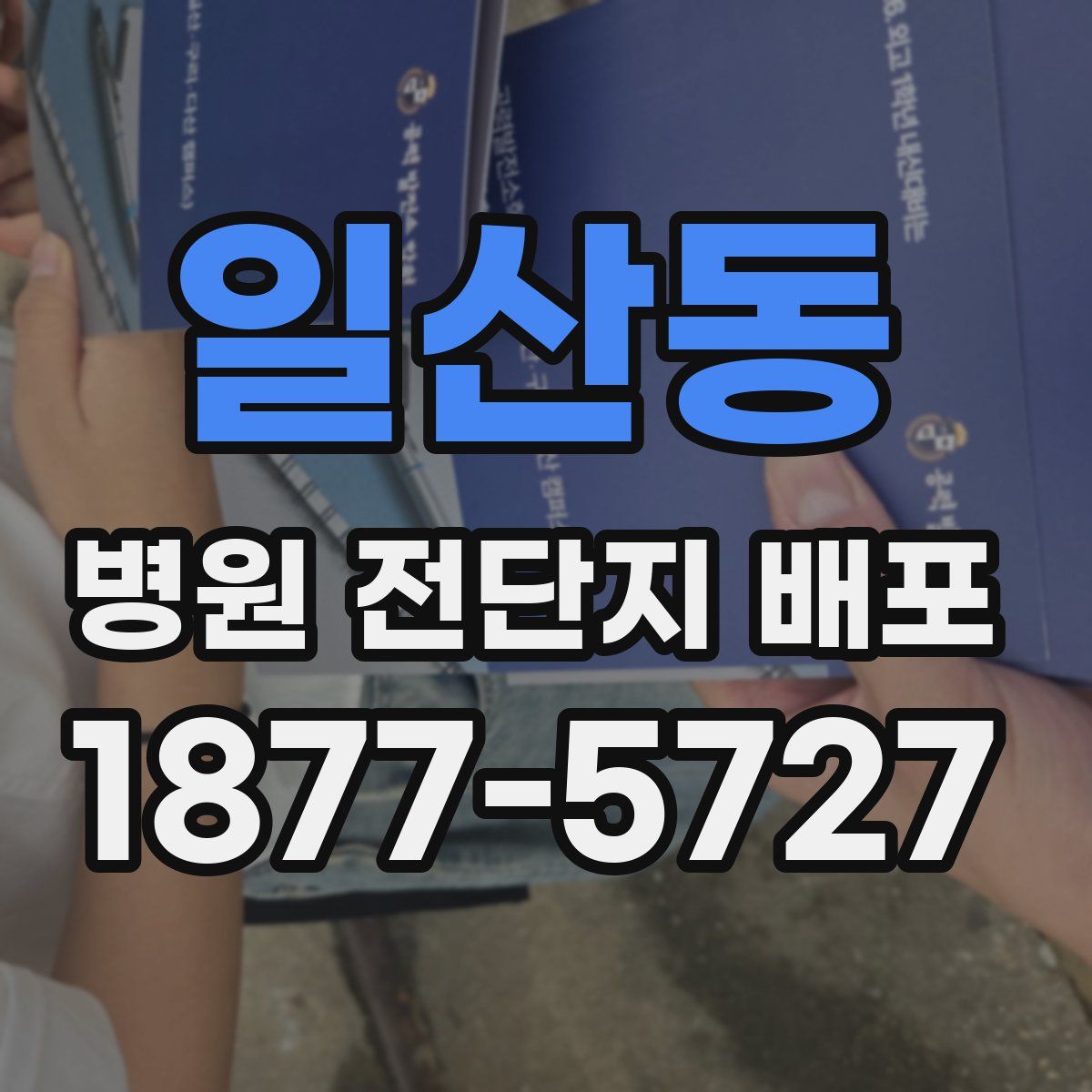 일산동 병원 전단지 배포