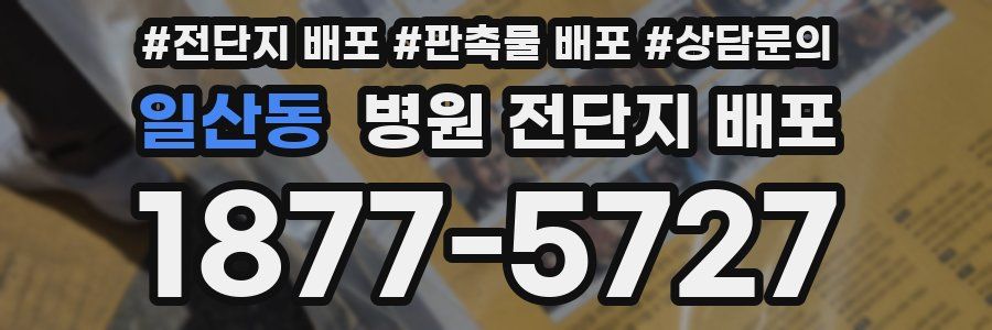 일산동 병원 전단지 배포