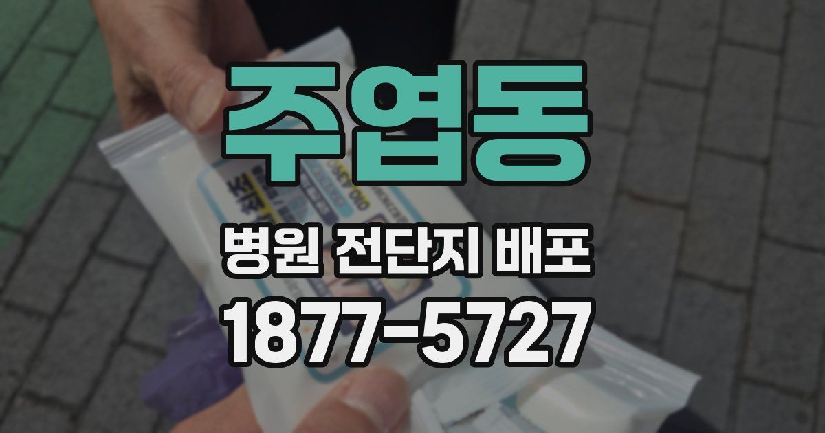 주엽동 병원 전단지 배포