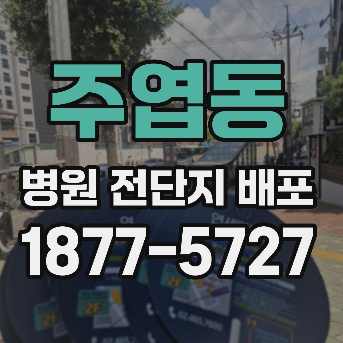 주엽동 병원 전단지 배포