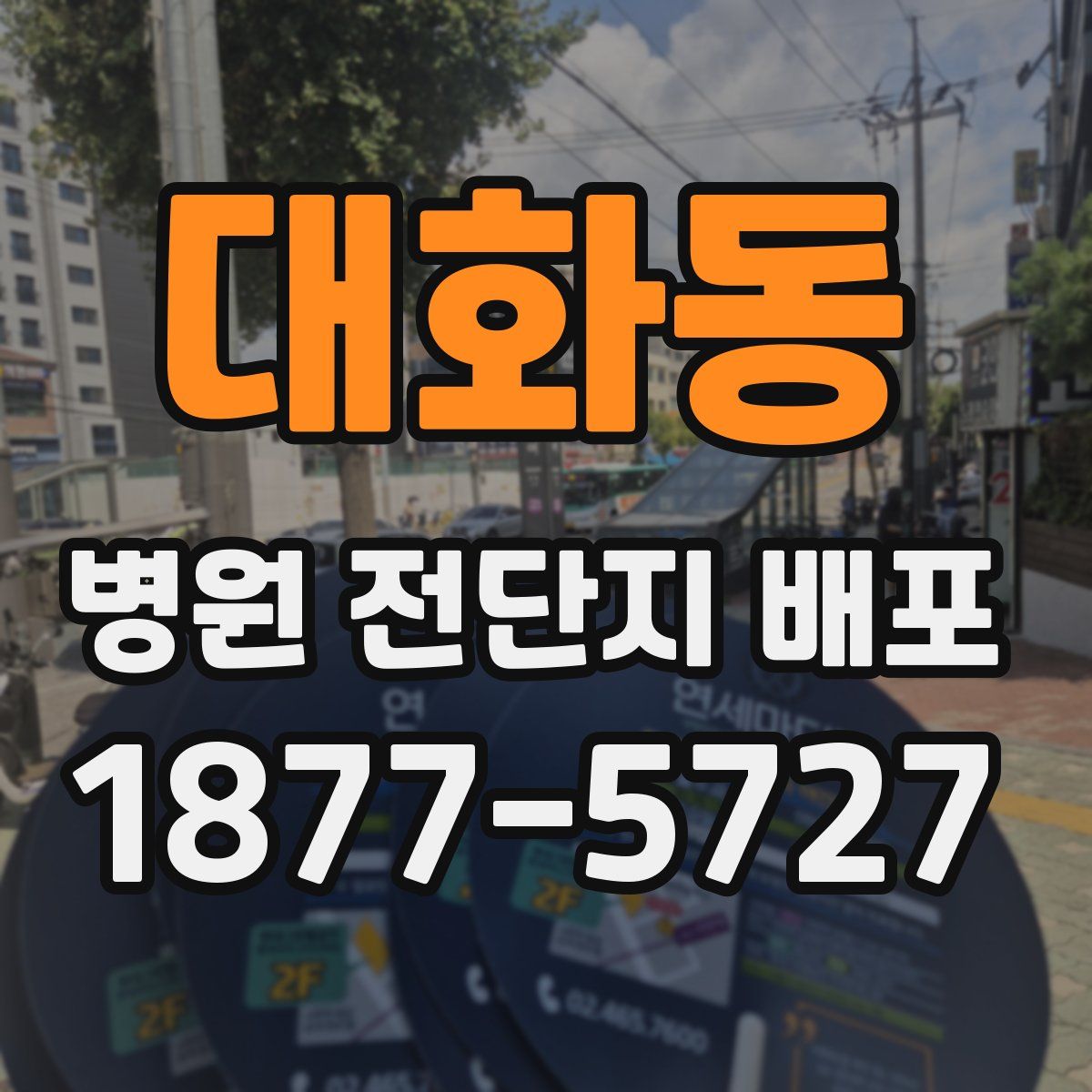 대화동 병원 전단지 배포