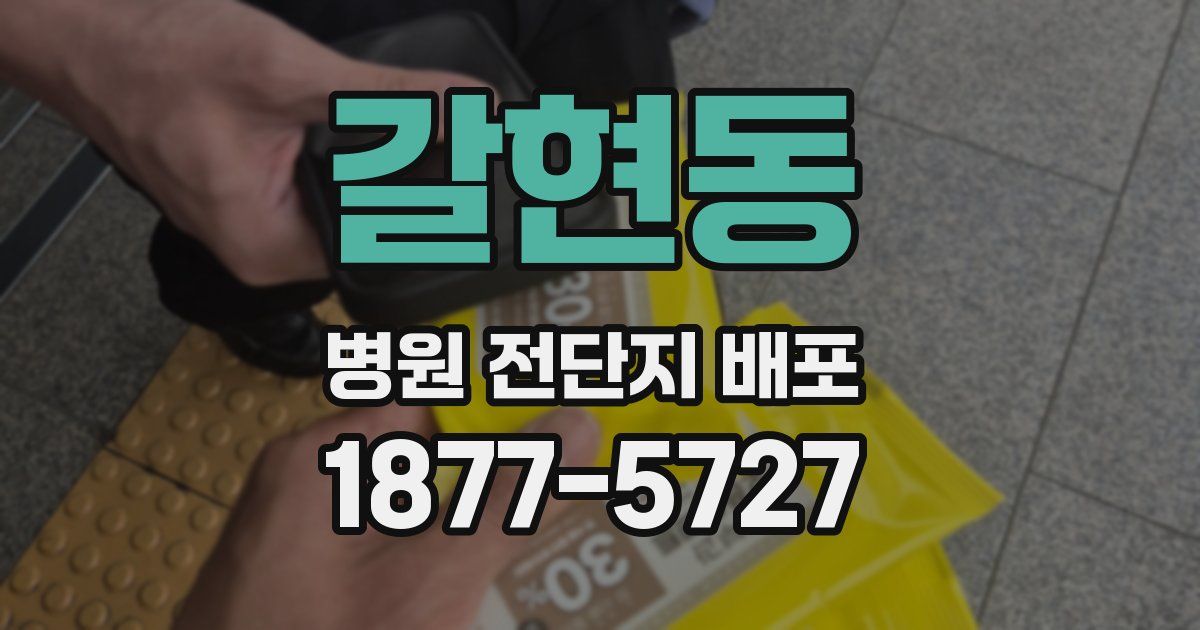 갈현동 병원 전단지 배포