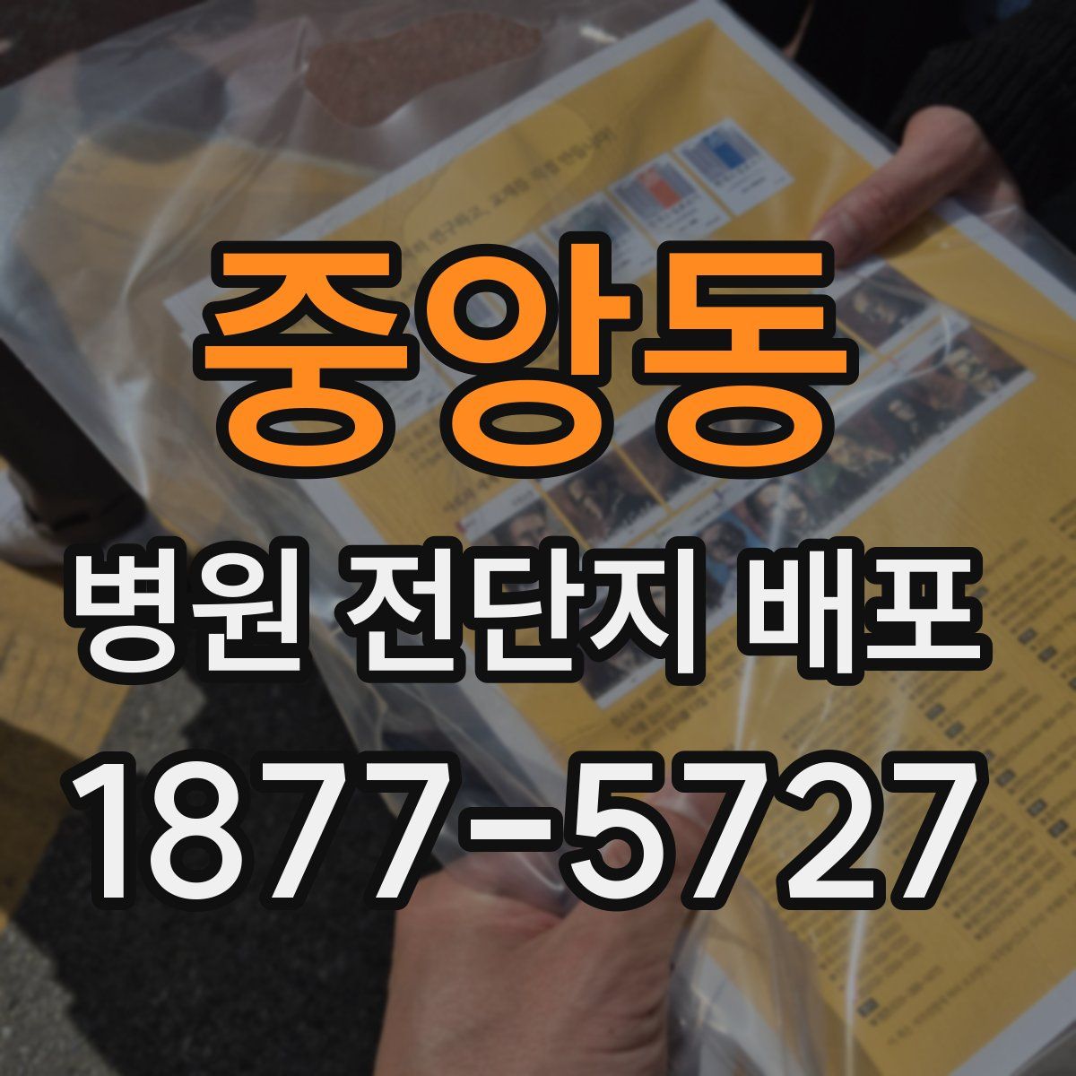 중앙동 병원 전단지 배포