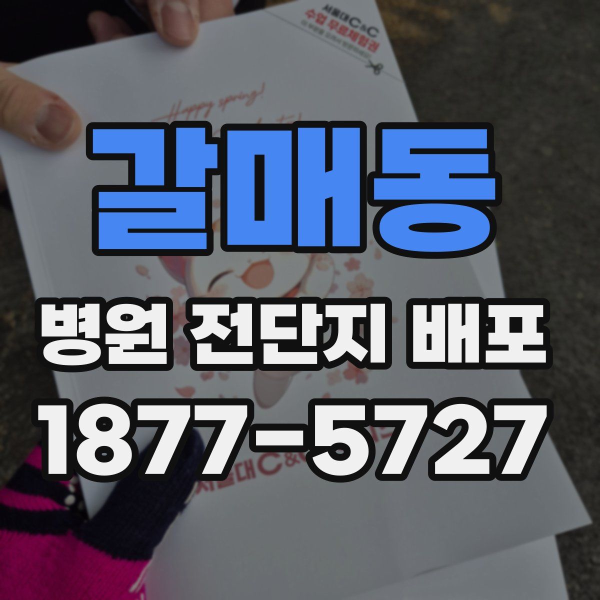 갈매동 병원 전단지 배포