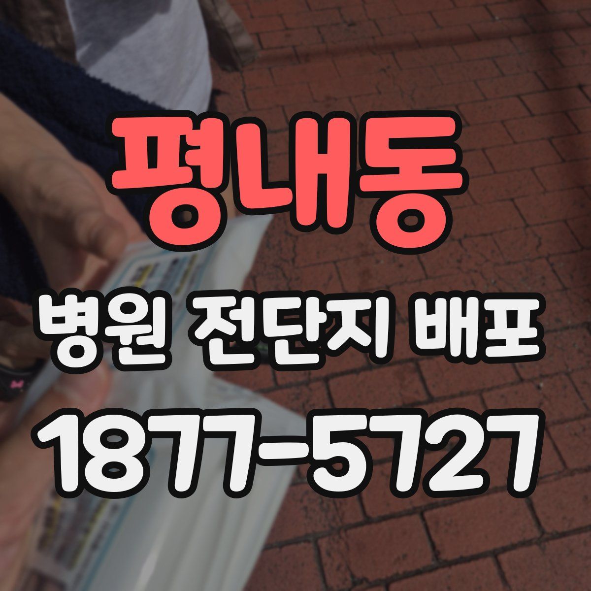 평내동 병원 전단지 배포