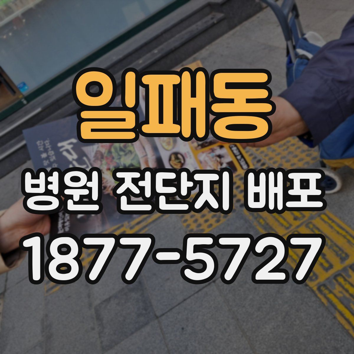 일패동 병원 전단지 배포