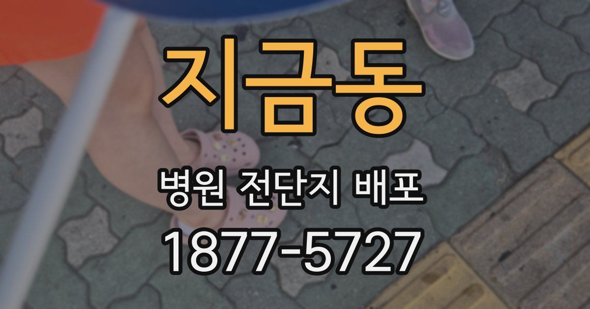 지금동 병원 전단지 배포