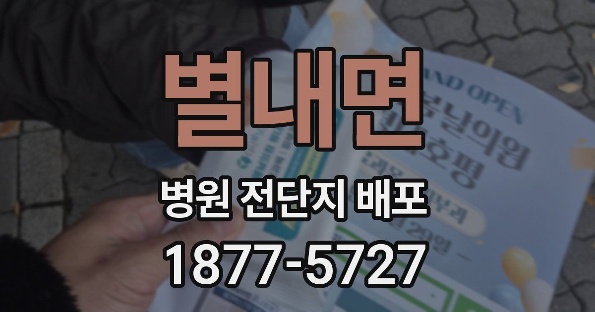 별내면 병원 전단지 배포