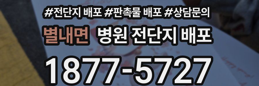 별내면 병원 전단지 배포