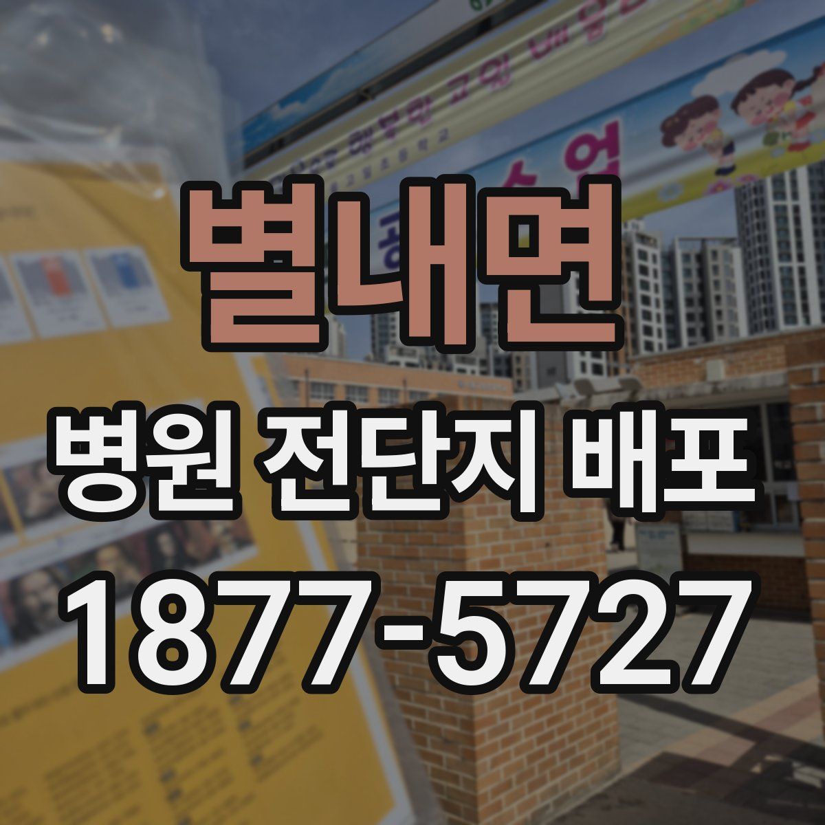 별내면 병원 전단지 배포