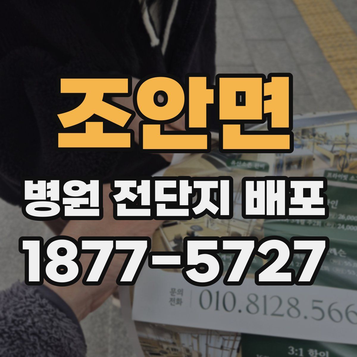 조안면 병원 전단지 배포