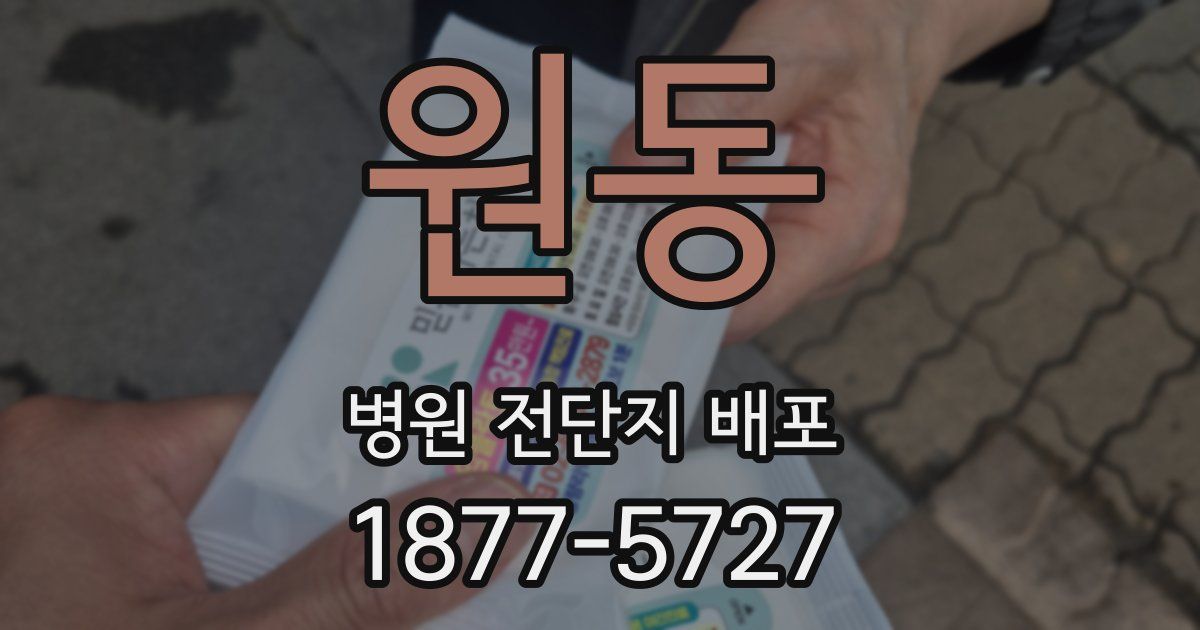 원동 병원 전단지 배포