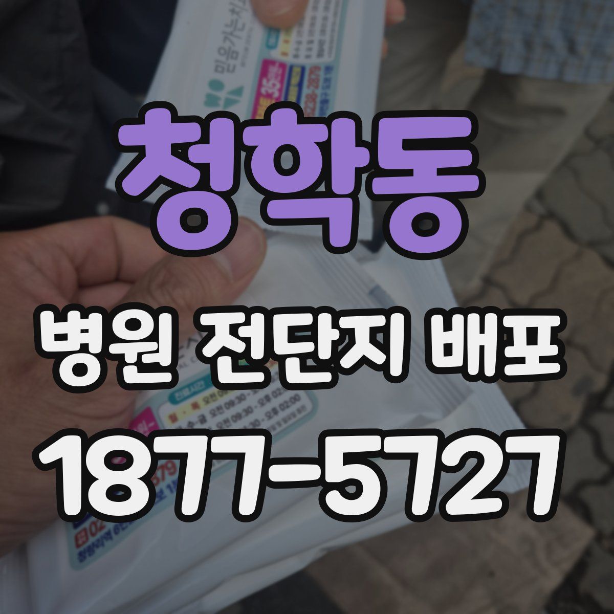 청학동 병원 전단지 배포