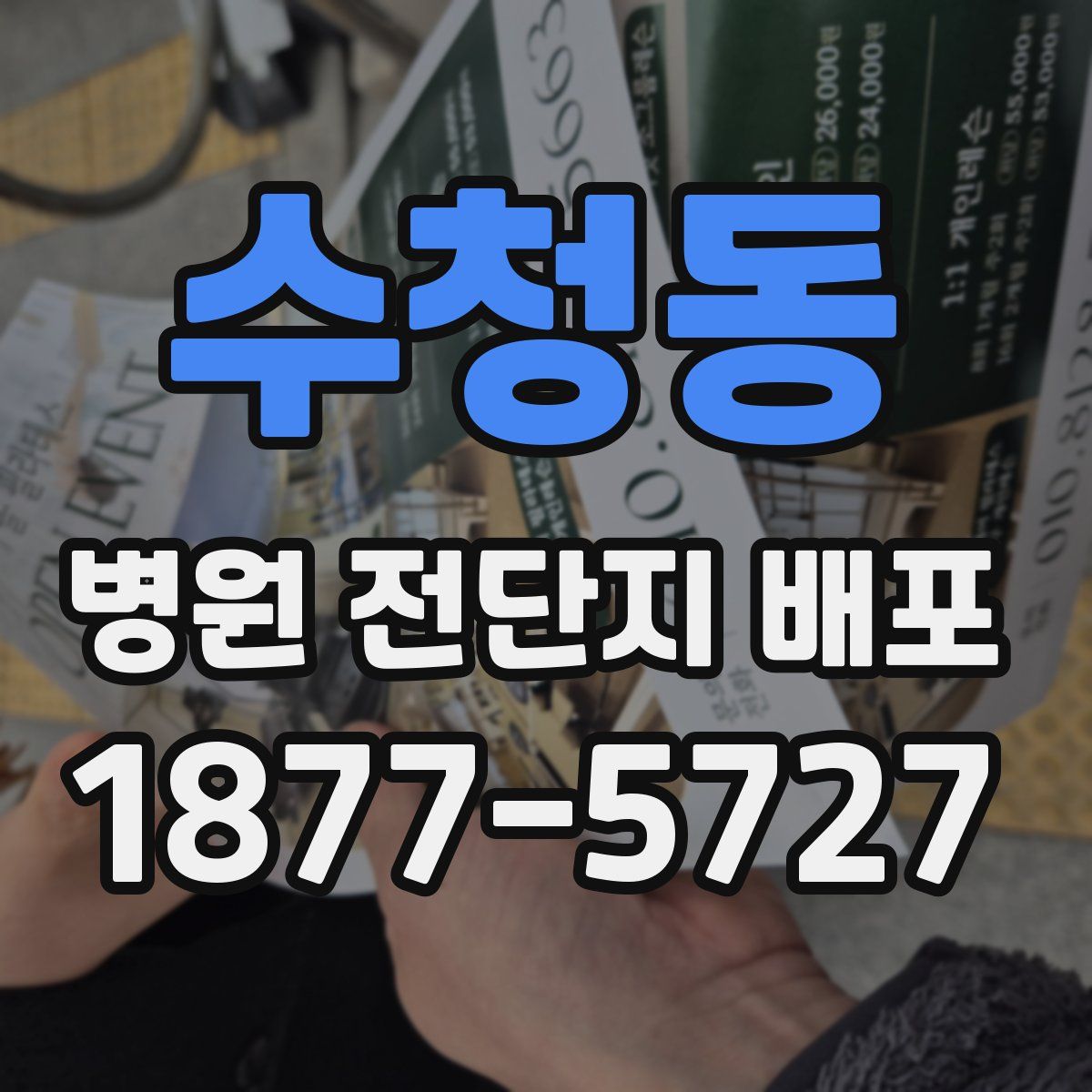 수청동 병원 전단지 배포