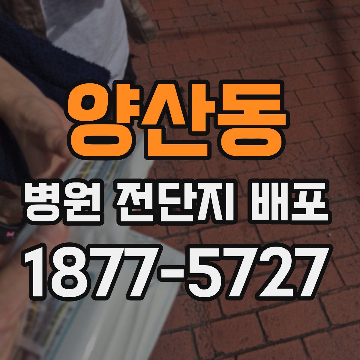 양산동 병원 전단지 배포