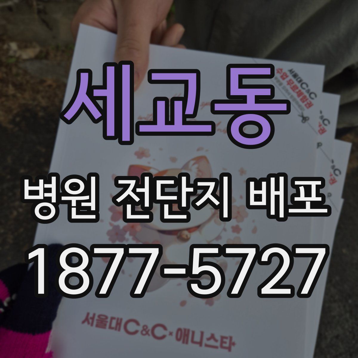 세교동 병원 전단지 배포