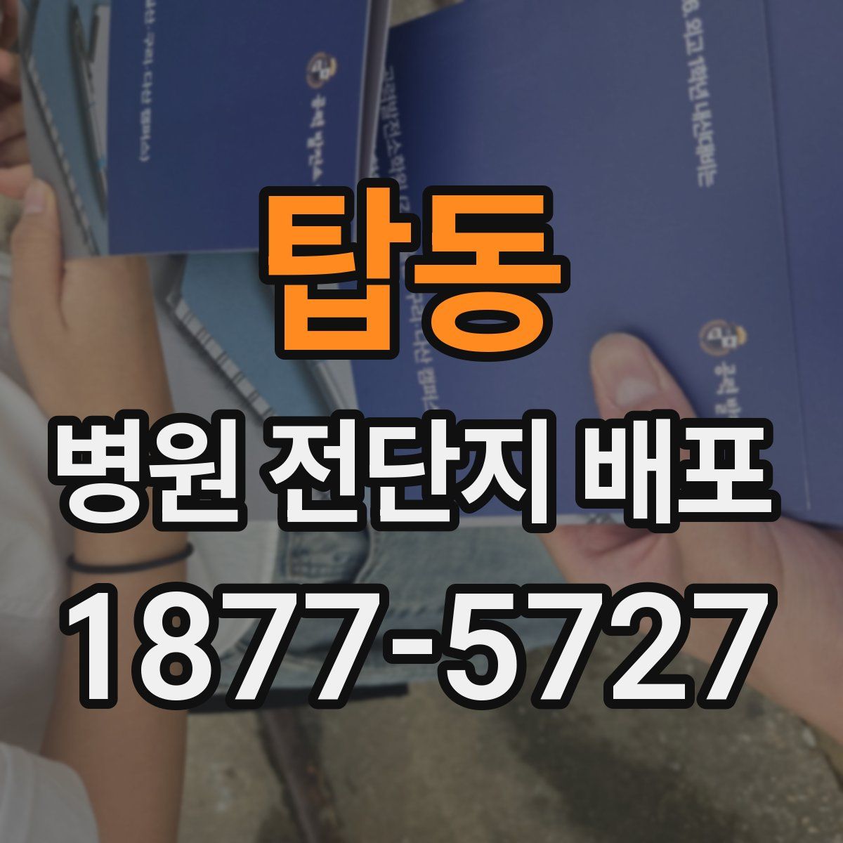 탑동 병원 전단지 배포