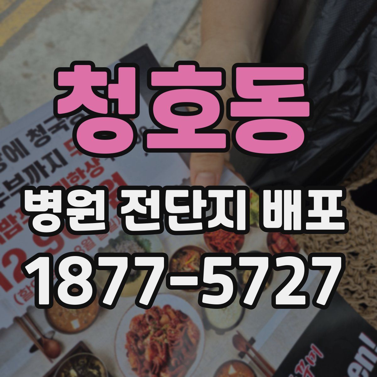 청호동 병원 전단지 배포
