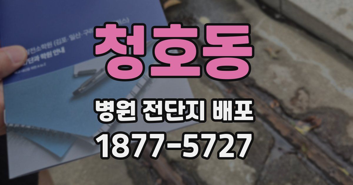 청호동 병원 전단지 배포