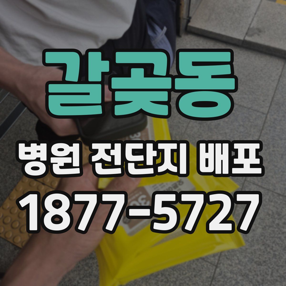 갈곶동 병원 전단지 배포