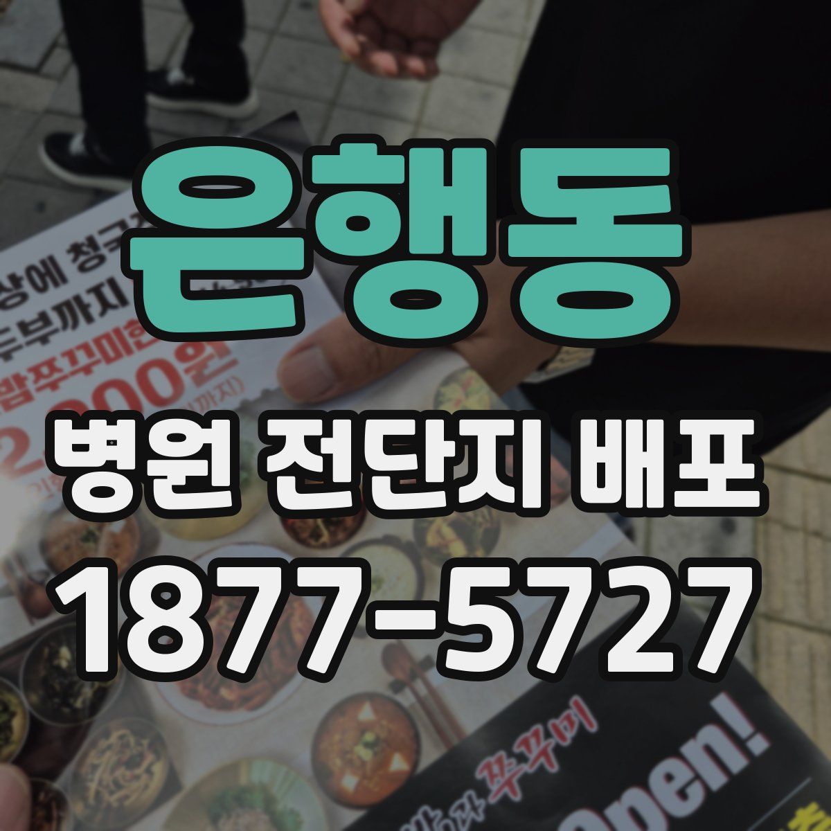 은행동 병원 전단지 배포