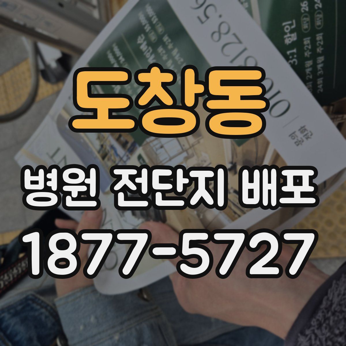 도창동 병원 전단지 배포