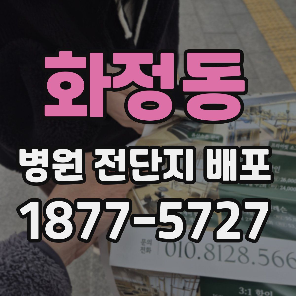 화정동 병원 전단지 배포