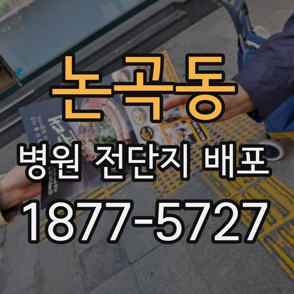 논곡동 병원 전단지 배포