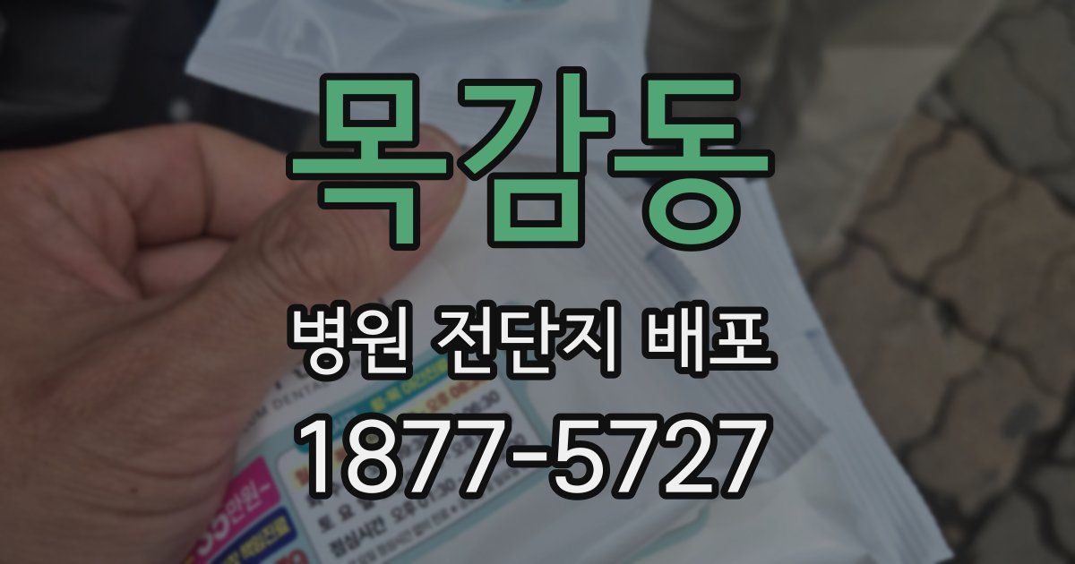목감동 병원 전단지 배포