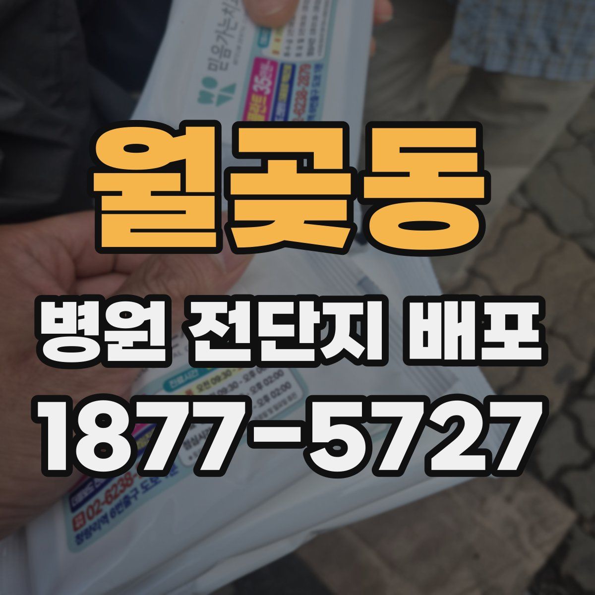 월곶동 병원 전단지 배포