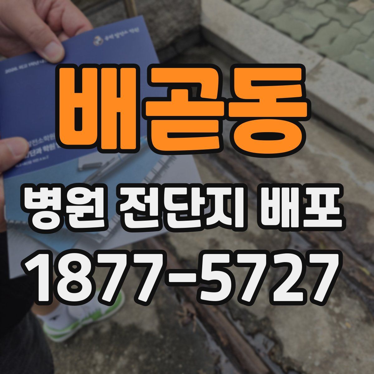 배곧동 병원 전단지 배포