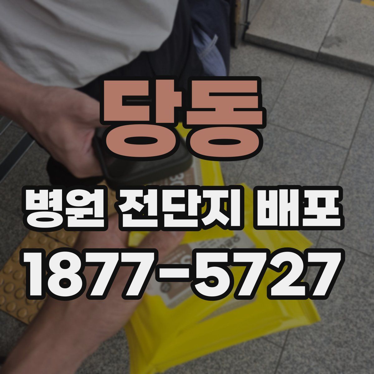 당동 병원 전단지 배포