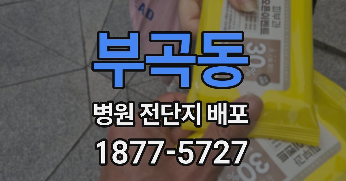 부곡동 병원 전단지 배포