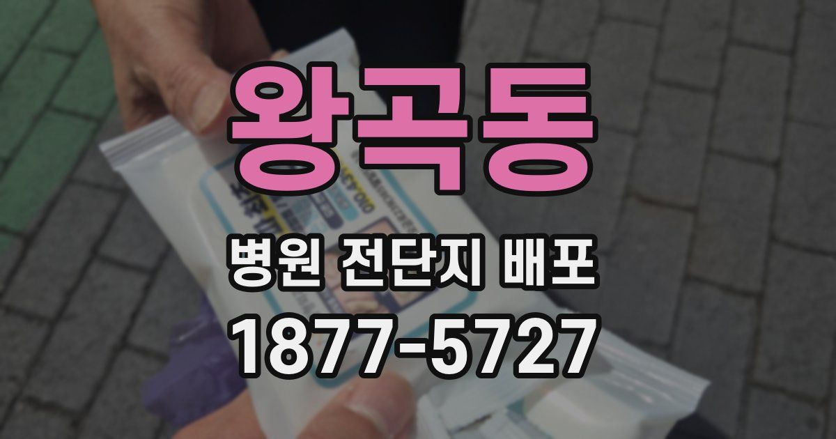왕곡동 병원 전단지 배포