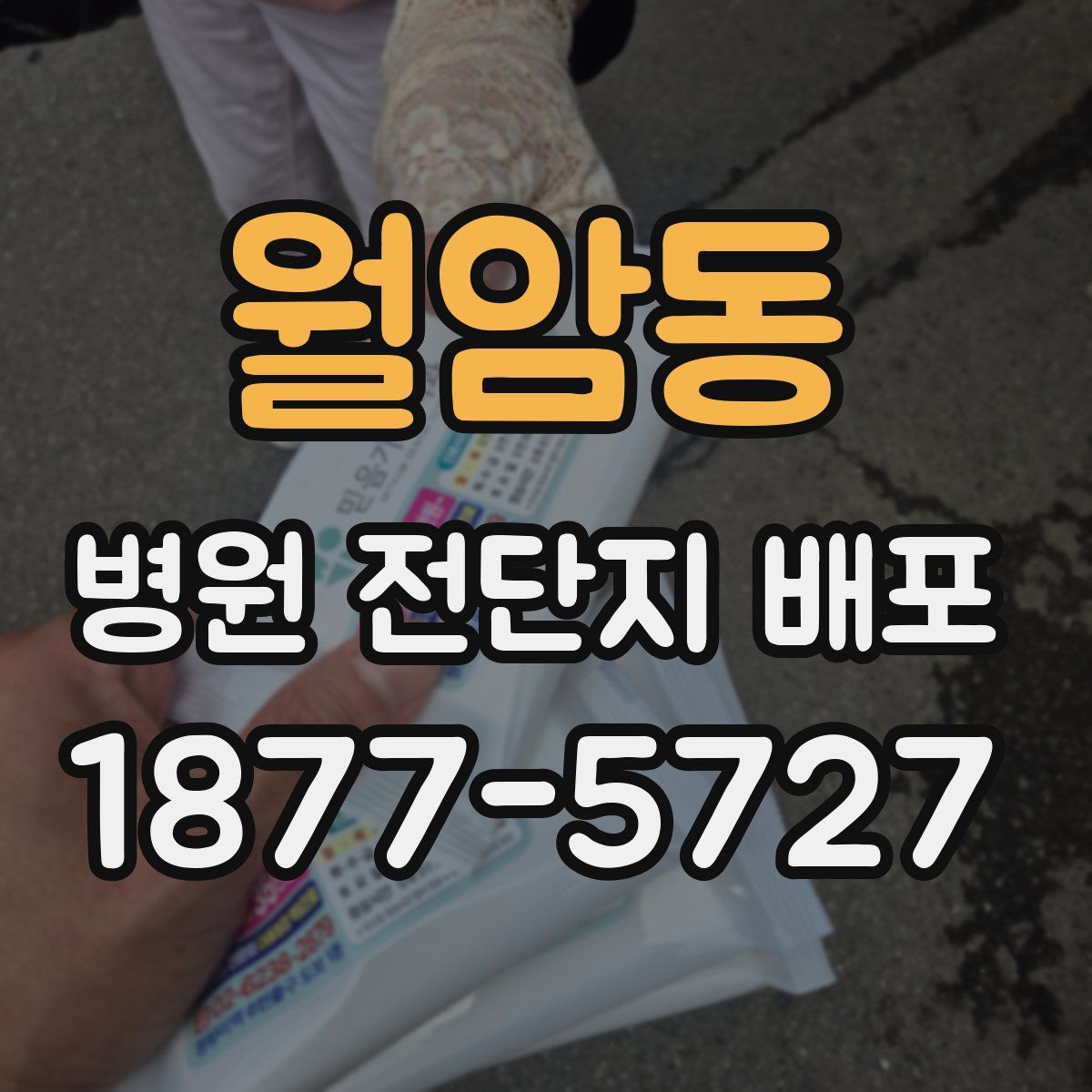 월암동 병원 전단지 배포