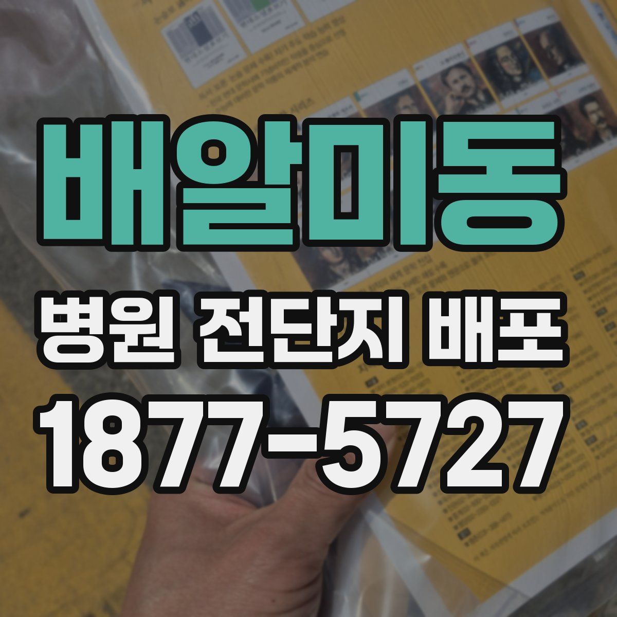 배알미동 병원 전단지 배포
