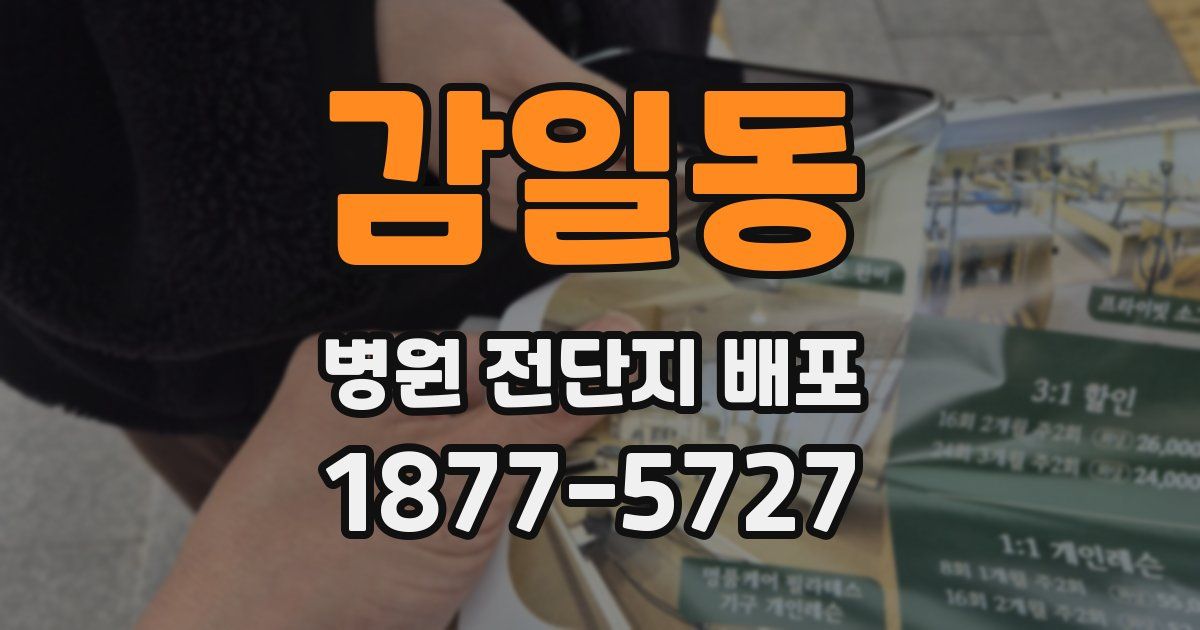 감일동 병원 전단지 배포